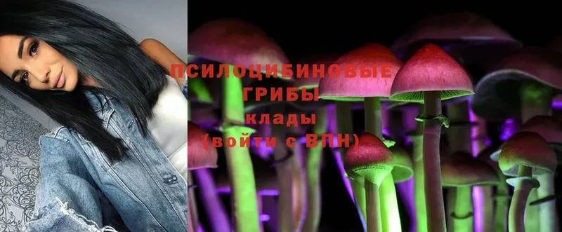 Псилоцибиновые грибы MAGIC MUSHROOMS  Алдан 